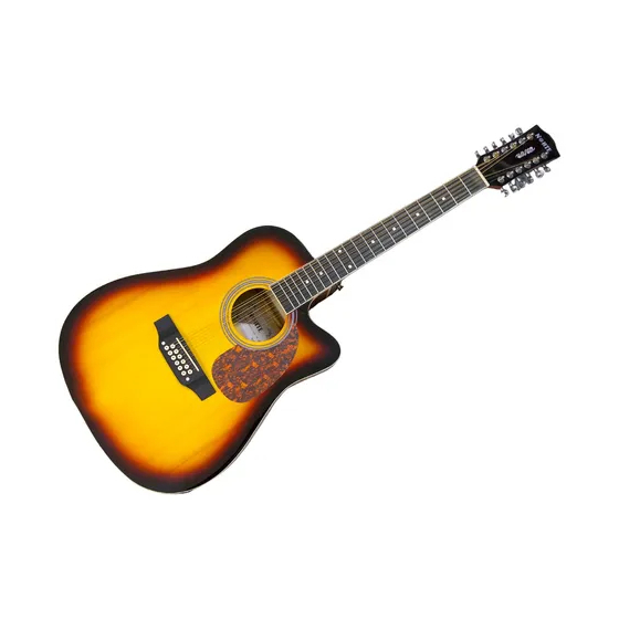 RAG41C12EQSB GUITARRA DOCEROLA C/AFINADOR SOMBREADO NORTE
