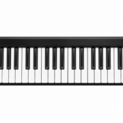 ROLAND A-49-BK Teclado Controlador MIDI de 49 Teclas Sensibles a la Velocidad, Negro