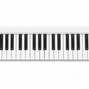 ROLAND A-49-WH Teclado Controlador MIDI de 49 Teclas Sensibles a la Velocidad, Blanco Perla